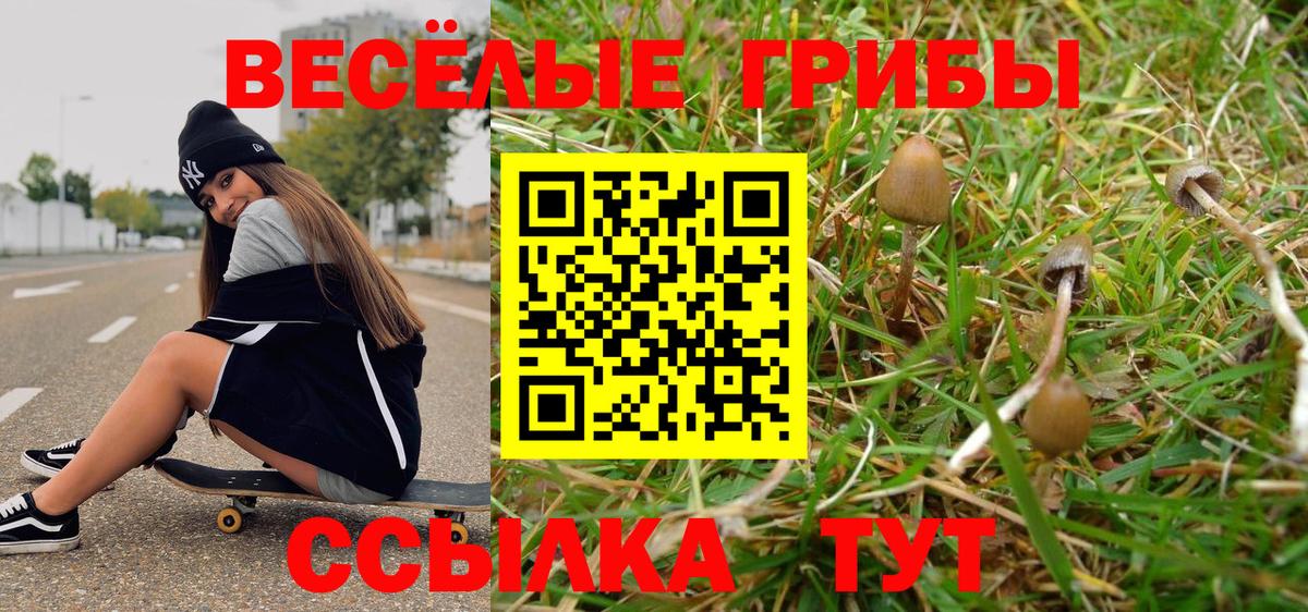 Галлюциногенные грибы мицелий Ишим